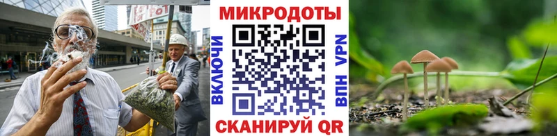 Псилоцибиновые грибы GOLDEN TEACHER  Приволжск 